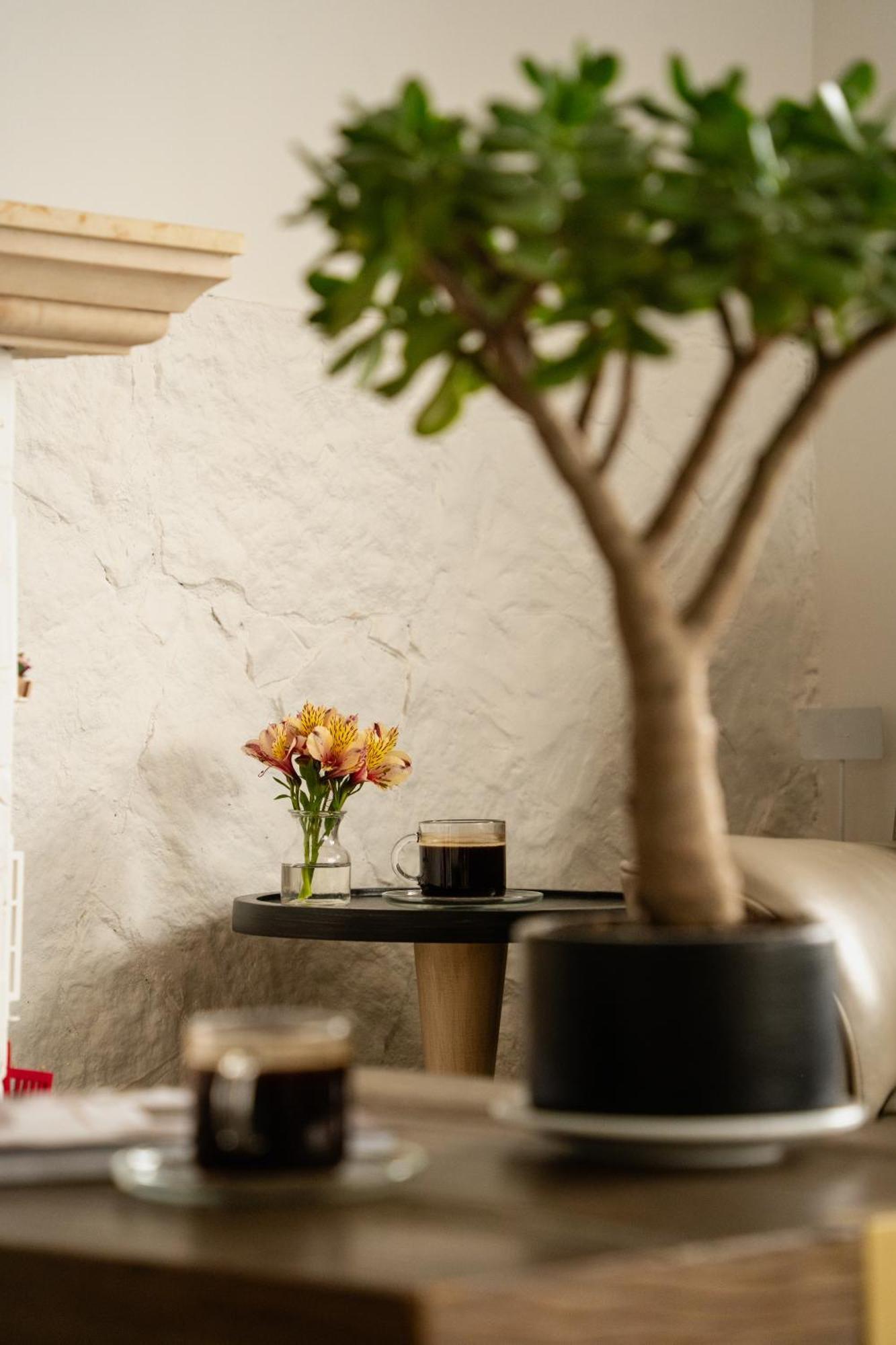 Hotel Boutique San Luis Монги Экстерьер фото